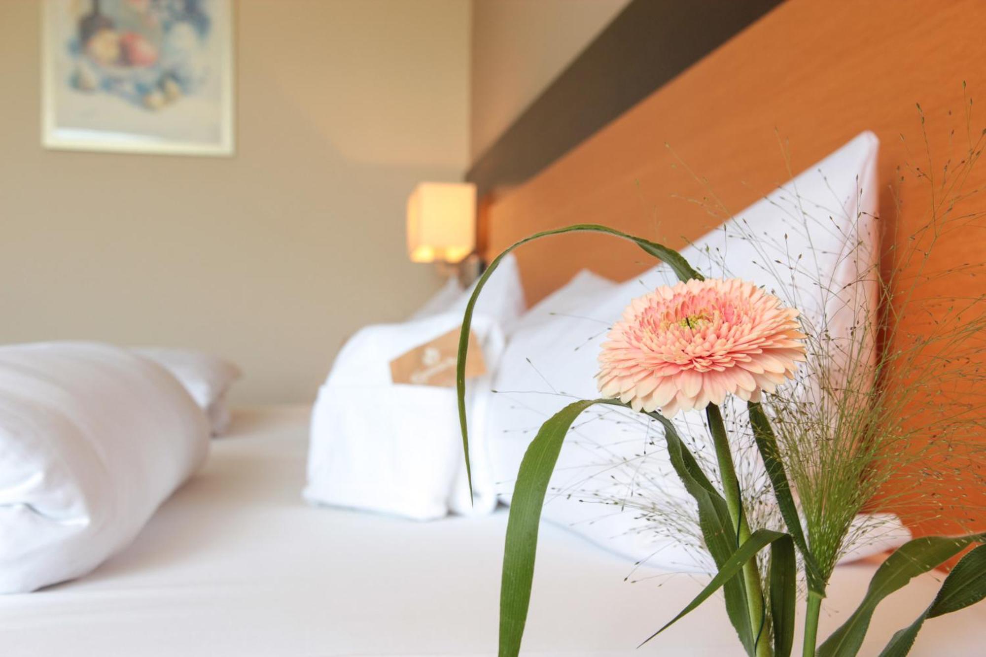 Hotel Leinsweiler Hof エクステリア 写真